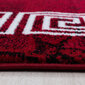Ayyildiz paklājs Plus Red 8009, 120x170 cm cena un informācija | Paklāji | 220.lv