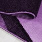 Ayyildiz paklājs Plus Lila 8010, 160x230 cm cena un informācija | Paklāji | 220.lv