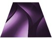 Ayyildiz paklājs Plus Lila 8010, 160x230 cm цена и информация | Paklāji | 220.lv