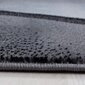 Ayyildiz paklājs Plus Black 8010, 200x290 cm цена и информация | Paklāji | 220.lv