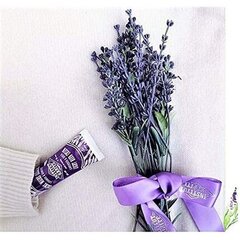 Roku krēms Institut Karite Paris So Fairy Lavender Light Hand 30 ml cena un informācija | Ķermeņa krēmi, losjoni | 220.lv