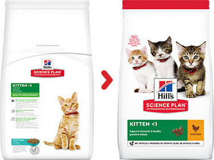 Hill's Science Plan Kitten barība kaķēniem ar vistas garšu, 1.5kg цена и информация | Сухой корм для кошек | 220.lv