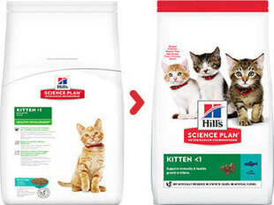 Hill's Science Plan Kitten barība kaķēniem ar tunča garšu, 300 g cena un informācija | Sausā barība kaķiem | 220.lv