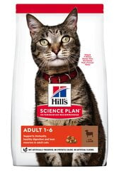 Hill's Science Plan Adult корм для кошек с бараниной и рисом, 300 г цена и информация | Сухой корм для кошек | 220.lv