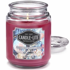 Candle-lite aromātiska svece Everyday Sugar Plum Garland cena un informācija | Sveces un svečturi | 220.lv