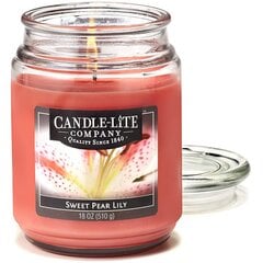 Candle-lite aromātiska svece Everyday Sweet Pear Lily cena un informācija | Sveces un svečturi | 220.lv