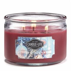 Candle-lite aromātiska svece Everyday Sugar Plum Garland cena un informācija | Sveces un svečturi | 220.lv