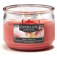 Candle-lite aromātiska svece Everyday Sweet Pear Lily