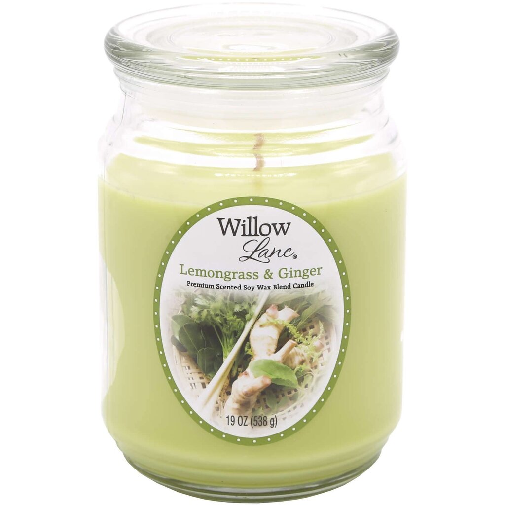 Candle-lite aromātiska svece Willow Lane Lemongrass & Ginger цена и информация | Sveces un svečturi | 220.lv