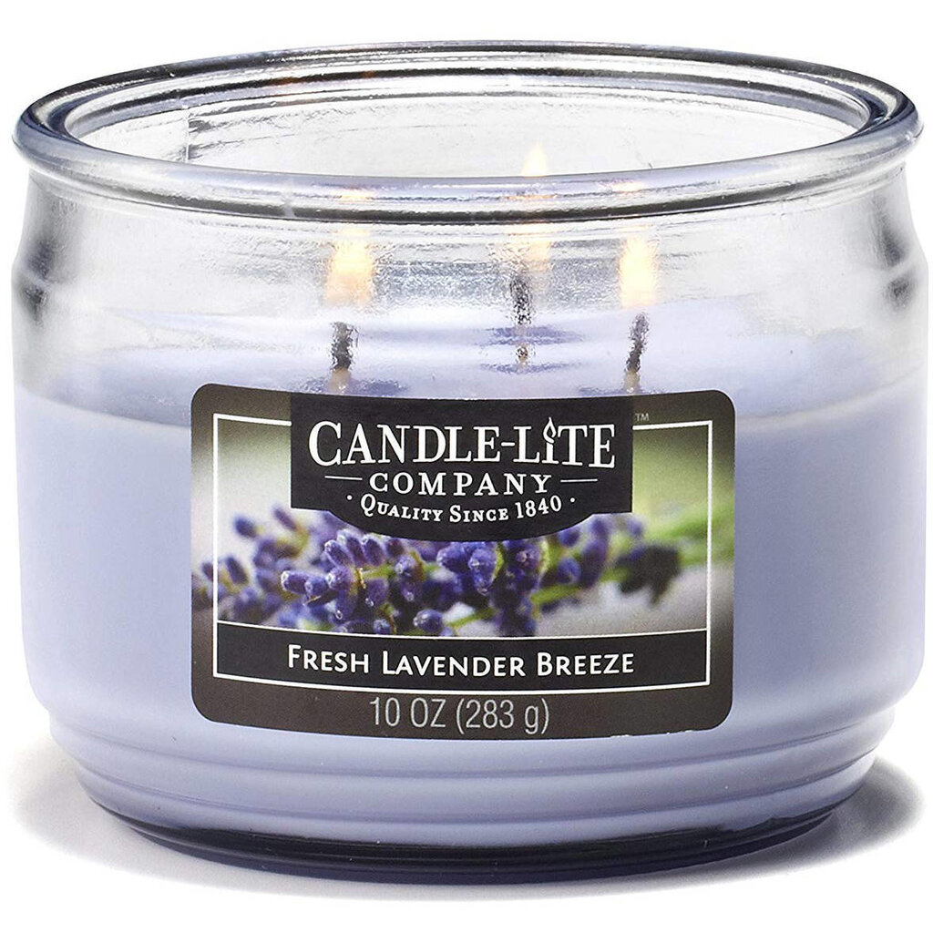 Candle-lite aromātiska svece Everyday Fresh Lavender Breeze cena un informācija | Sveces un svečturi | 220.lv