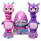 Interaktīvā ola ar dzīvnieku Hatchimals Hatchi WOW цена и информация | Rotaļlietas meitenēm | 220.lv