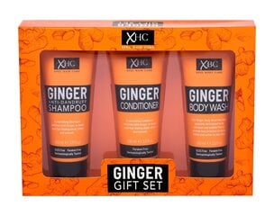 Komplekts Xpel Ginger: šampūns 100 ml + kondicionieris 100 ml + dušas želeja 100 ml cena un informācija | Šampūni | 220.lv