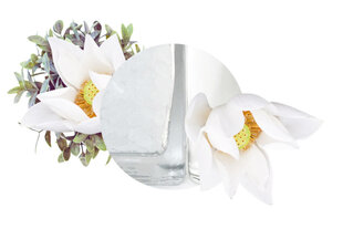 Mājas smaržu Carbaline "Lotus" papildinājums, 250ml cena un informācija | Mājas aromāti | 220.lv