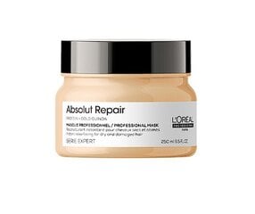 Atjaunojoša matu maska L'Oreal Professionnel Absolut Repair Gold 250 ml cena un informācija | Kosmētika matu stiprināšanai | 220.lv