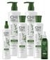 Matu attīrošs šampūns Farouk Systems CHI PowerPlus Hair Renewing System 355 ml цена и информация | Šampūni | 220.lv