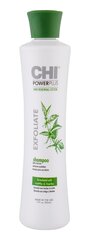 Шампунь Chi Power Plus Farouk эксфолиант (355 ml) цена и информация | Шампуни | 220.lv