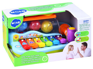 Mūzikas mācību komplekts Ksilofons ar bumbiņām, Huile Toys cena un informācija | Rotaļlietas zīdaiņiem | 220.lv