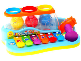 Mūzikas mācību komplekts Ksilofons ar bumbiņām, Huile Toys cena un informācija | Rotaļlietas zīdaiņiem | 220.lv