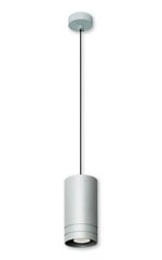 Lampex подвесной светильник Simon 1 цена и информация | Люстры | 220.lv