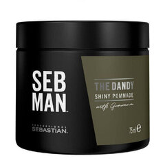 Помада для волос для мужчин Sebastian Professional SEB MAN The Dandy Shiny 75 ml цена и информация | Средства для укладки волос | 220.lv