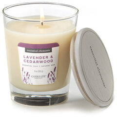 Candle-Lite ароматическая свеча с крышечкой Lavender & Cedarwood, 255 г. цена и информация | Подсвечники, свечи | 220.lv