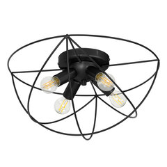 Luminex griestu lampa Copernicus цена и информация | Потолочные светильники | 220.lv