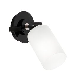 Luminex настенный светильник Tokio цена и информация | Настенные светильники | 220.lv