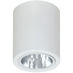 Luminex griestu lampa Downlight Round cena un informācija | Luminex Mēbeles un interjers | 220.lv