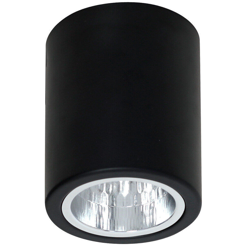 Luminex griestu lampa Downlight Round cena un informācija | Griestu lampas | 220.lv