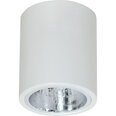 Luminex griestu lampa Downlight Round