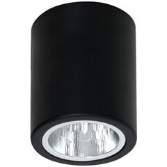 Luminex griestu lampa Downlight Round цена и информация | Потолочные светильники | 220.lv