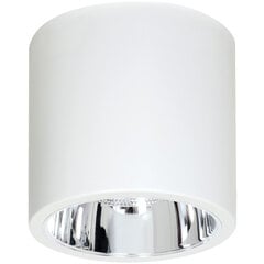 Luminex griestu lampa Downlight Round цена и информация | Потолочные светильники | 220.lv