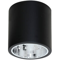 Luminex griestu lampa Downlight Round cena un informācija | Griestu lampas | 220.lv