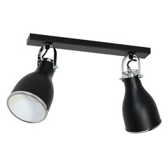 Luminex потолочный светильник Bjorn цена и информация | Потолочные светильники | 220.lv