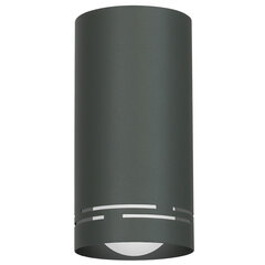 Luminex настенный светильник Insert Round 200 цена и информация | Настенные светильники | 220.lv