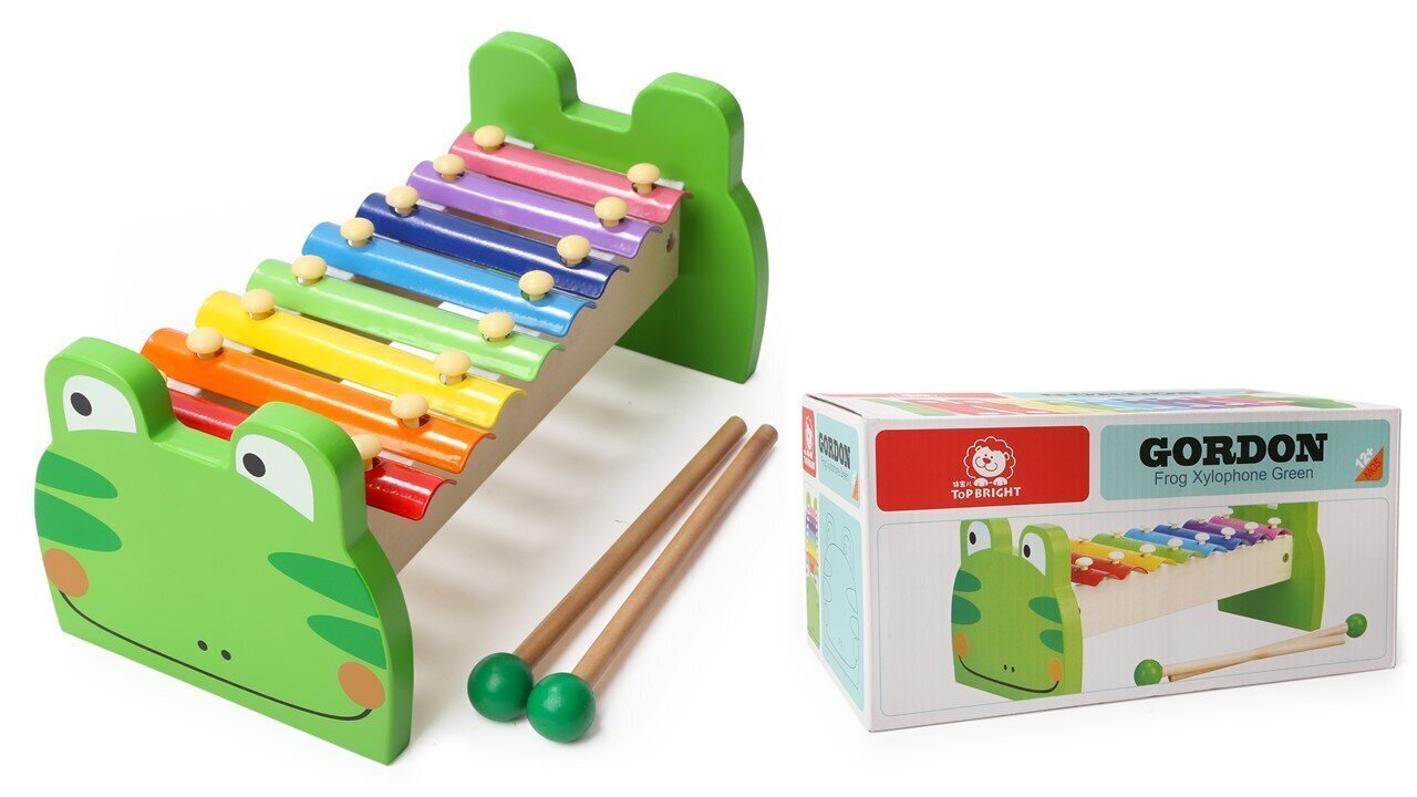 Bērnu ksilofons Varde Top Bright цена и информация | Attīstošās rotaļlietas | 220.lv