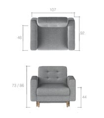 Кресло Asgard, светло-зеленое цена и информация | Кресла в гостиную | 220.lv