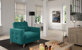 Кресло Asgard, светло-зеленое цена и информация | Кресла в гостиную | 220.lv