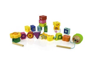 Деревянные кубики Гусеница Top Bright цена и информация | Игрушки для малышей | 220.lv