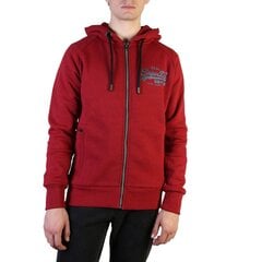 Мужской свитер Superdry 15725 цена и информация | Мужские свитера | 220.lv