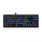 Modecom Lanparty 2 RGB Gateron Brown цена и информация | Klaviatūras | 220.lv