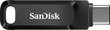 MEMORY DRIVE FLASH USB-C 32GB/SDDDC3-032G-G46 SANDISK цена и информация | USB Atmiņas kartes | 220.lv