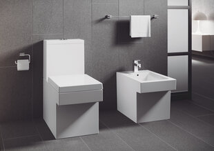 Grohe Essentials Cube держатель для туалетной бумаги 40507001 цена и информация | Аксессуары для ванной комнаты | 220.lv