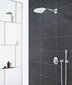 Grohe Euphoria Cosmopolitan Stick rokas duša цена и информация | Aksesuāri jaucējkrāniem un dušai | 220.lv