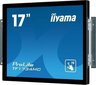 IIyama PLTF1734MC-B6X цена и информация | Monitori | 220.lv