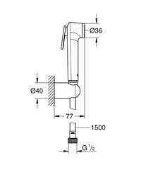 Grohe Tempeste-F Trigger Spray 30 bidē cena un informācija | Dušas komplekti un paneļi | 220.lv