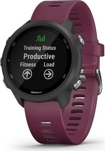 Garmin Forerunner 245 Merlot цена и информация | Viedpulksteņi (smartwatch) | 220.lv