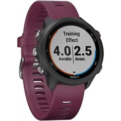 Garmin Forerunner 245 Merlot цена и информация | Смарт-часы (smartwatch) | 220.lv