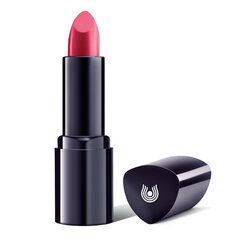 Губная помада Dr. Hauschka Lipstick 4.1 г, 05 Fuchsia цена и информация | Помады, бальзамы, блеск для губ | 220.lv