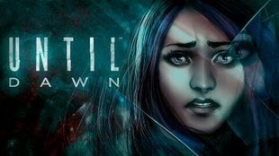 Sony PS4 Until Dawn цена и информация | Компьютерные игры | 220.lv